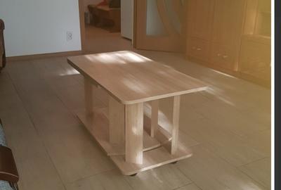 Garsonieră decomandată în Costin Georgian - 3