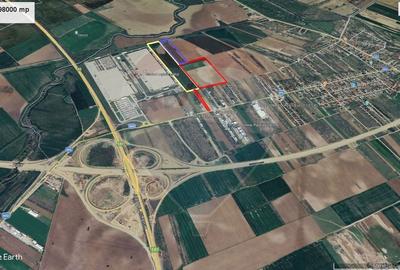 Teren Construcții intravilan de 98709 mp, în Bâcu - 2