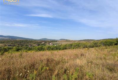 Teren extravilan zona - 2