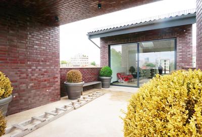 Cladire individuala - spatii open space - 1