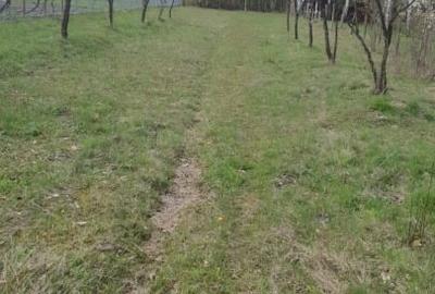 Teren intravilan de 5000 mp, în Slătioara - 2