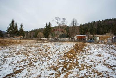 Teren intravilan de 49000 mp, în Borca - 4