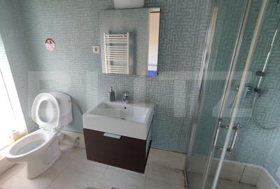 Casa vacanta 5 camere Paltinoasa, zona excelenta, in circuit turistic! - 18