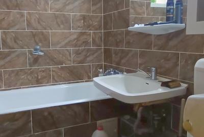 Vanzare apartament 4 camere - Teiul Doamnei - Stradal - vedere spate - 9