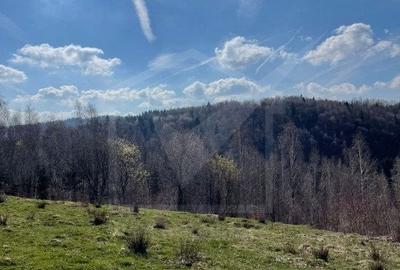 Teren cu panorama pentru cabana, Risca, Valea Fericirii - 3