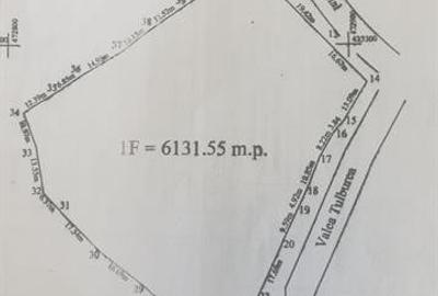 Teren Construcții intravilan de 6132 mp, în Poienari (Corbeni) - 1