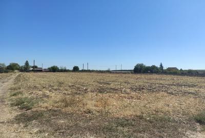 Teren Construcții extravilan de 3556 mp, în Vâlcelele de Sus - 1