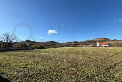 Teren intravilan de vanzare in Alma jud. Sibiu 7.342 m - 1