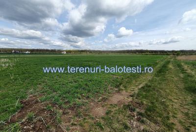 Teren langa padure si utilitati,800 mp - 28