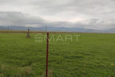 Teren  intravilan cu PUZ 30.000 mp Prejmer - 2