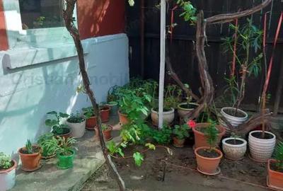 Dorobantilor Casa 4 camere 2 corpuri Teren=400 mp front stradal de 10m Dorobantilor Casa 4 camere 2 corpuri Teren=400 mp front stradal de 10m - 6