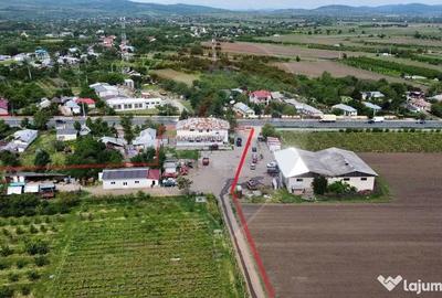 Teren de 540286 mp, în Urechești - 15