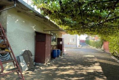 Casa individuala + anexa si gospodarie , 247 mp , 3 nivele, - 4