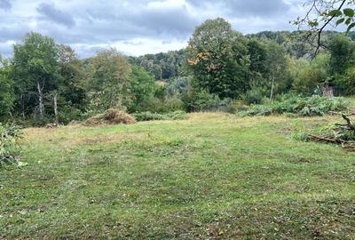 Spațiu comercial, în Buștenari - 5