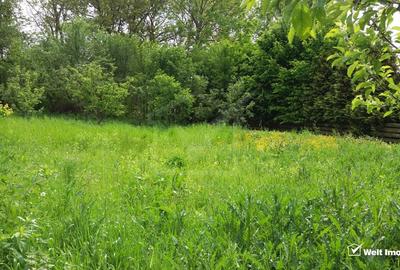 Casă individuală cu 1 camere cu Teren 1475 Mp în Săliște - 5