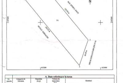 Teren de 19300 mp, în Sinești - 1