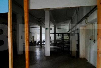 Oportunitate! Teren intravilan 20000 mp si spatiu industrial - 4
