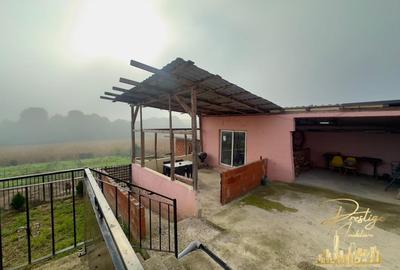 Casa cu anexe si teren de 1000 mp de vanzare in comuna Spinus-Bihor - 33