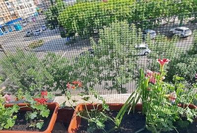 Garsonieră decomandată în Dunărea - 4