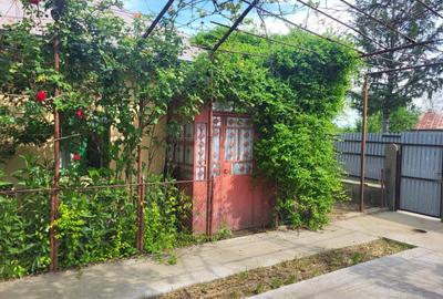 Casă cu 3 camere cu Teren 2200 Mp în Central - 2