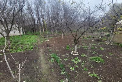 Casă individuală cu 5 camere cu Teren 886 Mp în Central - 13