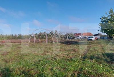 Casă cu 2 camere în Silagiu - 2