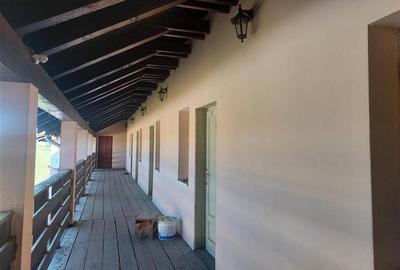 Casă individuală cu 14 camere cu Canalizare în Pișchia - 13