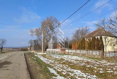 Teren intravilan Comision ZERO%, Sebis Arad - 2