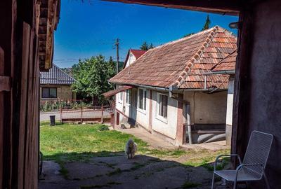Casă cu Teren 17 Mp în Central - 4