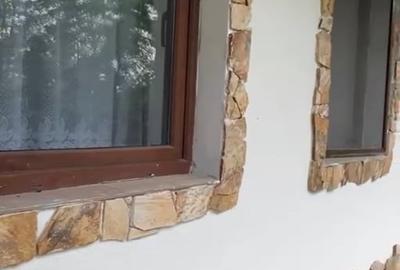 Casă individuală cu 3 camere cu Teren 1360 Mp în Sârbi - 1