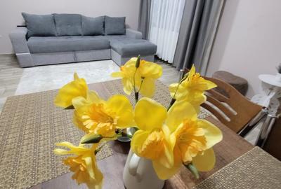 Apartament cu 2 camere semidecomandat, mobilat în Central - 22