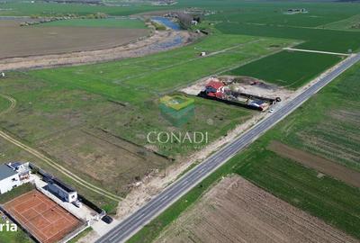 Spațiu comercial, în Pasărea - 1