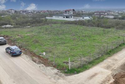 Teren de 1866 mp, în Mogoșoaia - 1