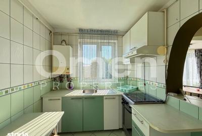 Apartament cu 2 camere semidecomandat în Săsar - 4