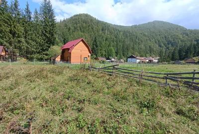 Spațiu comercial, în Petrești - 3