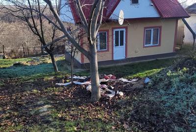Casă cu 2 camere în Schitu Duca - 7