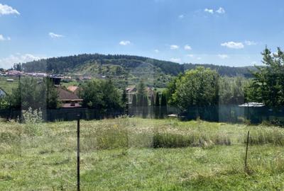 Teren intravilan de vanzare, 611 mp Strada Borviz - 2