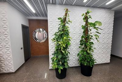 Oportunitate Investiție Spațiu Comercial - Palas, Sf. Lazăr - 7