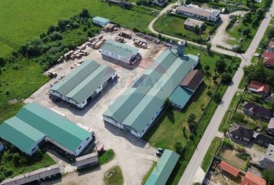 DE VANZARE SPATIU INDUSTRIAL DE MARI DIMENSIUNI - 2