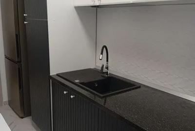 Apartament cu 2 camere decomandat, mobilat în Gorjului - 5