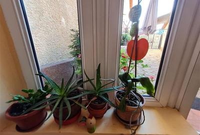 Pe incantare florala, casa cu 5 camere, curte individuala - Central, Brasov - 52