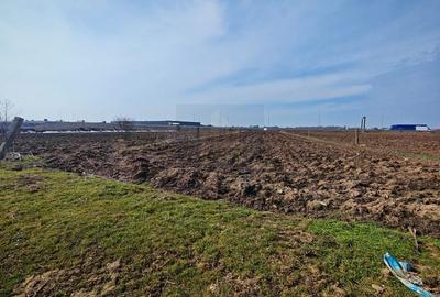 Teren de 2727 mp, în Moara Vlăsiei - 5