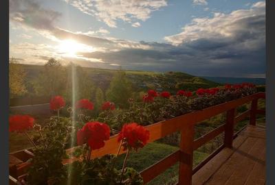 House for sale, 4 rooms, 112 sqm, Sălicea - 7