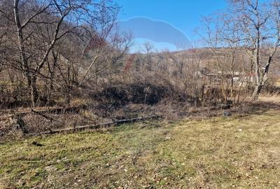 Teren Construcții intravilan de 4985 mp, în Sascut - 3