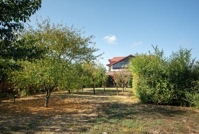 Casa de familie in Saftica - 34