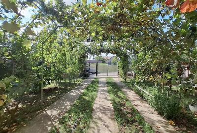Casa Valea Lupului,Garaj,Beci,Gratar,Mobilata utilata,Teren 600 mp - 6