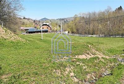 Teren de 10566 mp, în Vama - 4