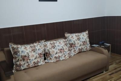 Vand casa  in Loc. Ranta, Com. Bogata, jud. Mures - 6