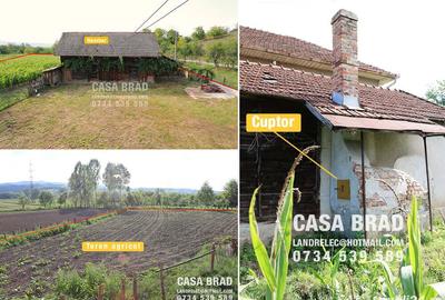 Proprietar vand casa mare cu 1373 mp teren, zona verde, lini?tita, in ora?ul Brad, jud. HD - 1