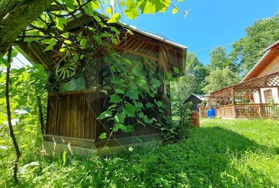 Casa de la marginea padurii! - 22